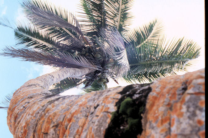 Seychellen 1999-008.jpg